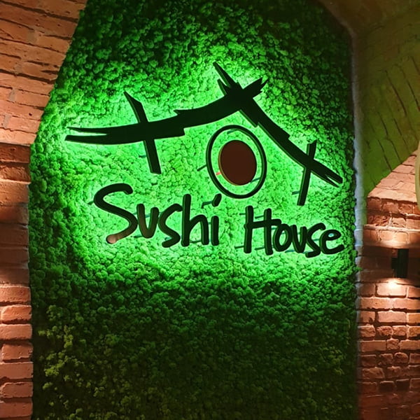 logo z mchu