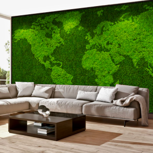 panel z mchu na ścianę mapa
