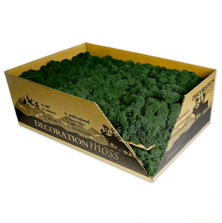 chrobotek ciemny 5kg