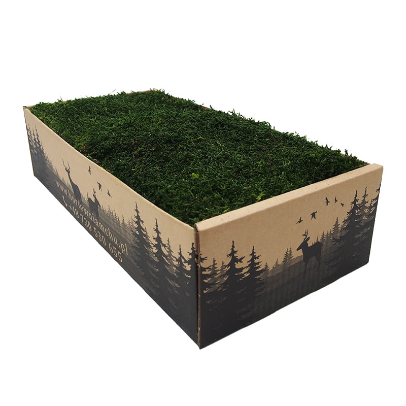 mech płaski szwedzki ciemny 200g