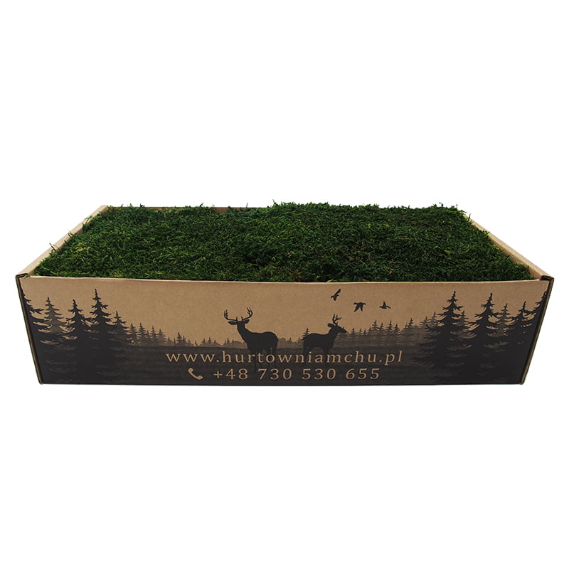 mech płaski szwedzki ciemny 200g