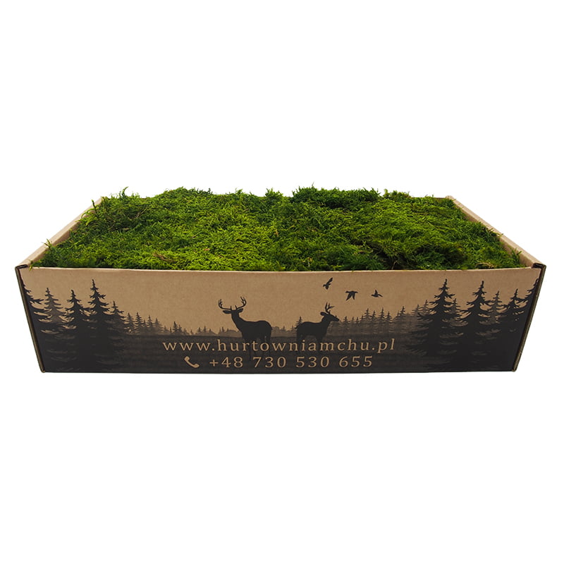 mech płaski szwedzki jasny 200g